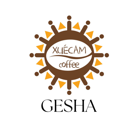 XueCam Gesha