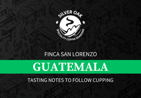 Finca San Lorenzo, Guatemala