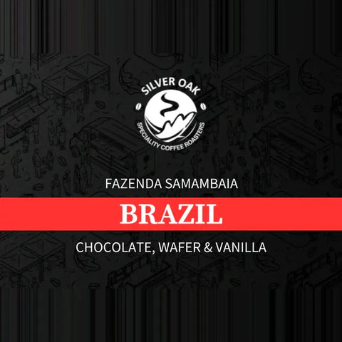 Single Estate, Fazenda Samambaia, Brazil