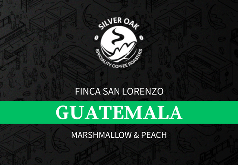 Finca San Lorenzo, Guatemala
