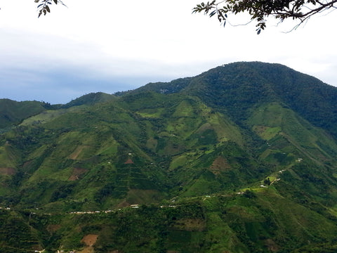 Agua Blanca, Colombia - Organic