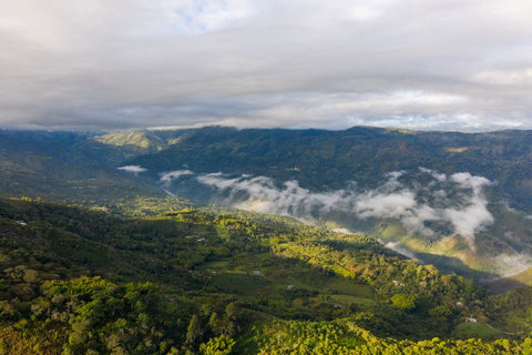 Single Estate: Smallholders of Inzá Cauca, Colombia