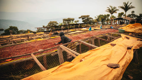 Nkara, Rwanda