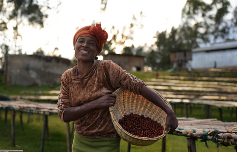 Single Origin, Sidama Boreta, Ethiopia - Natural