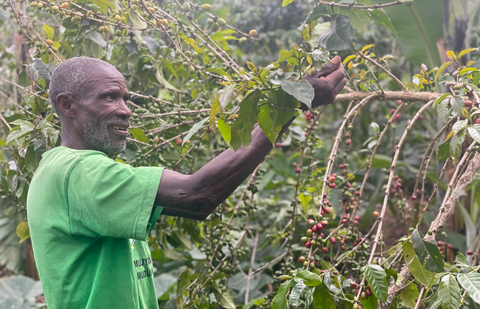 Single Origin: Smallholders of Rubyiniro Hill, Rwanda