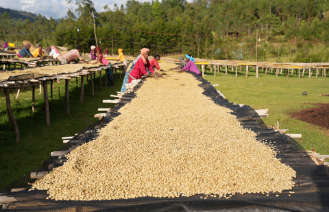 Single Origin, Sidama Boreta, Ethiopia - Natural