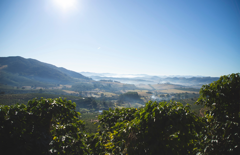 Pocos De Caldas, Brazil - DECAF