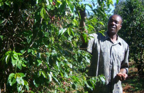 Single Origin: Smallholders of Tarime, Tanzania