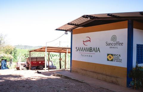 Single Estate, Fazenda Samambaia, Brazil