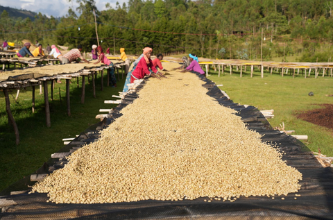 Boreta G1 Natural, Ethiopia