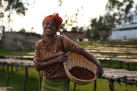 Boreta G1 Natural, Ethiopia
