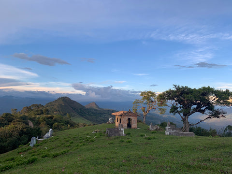 Single Estate: Smallholders of Inzá Cauca, Colombia