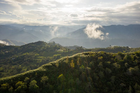 Single Estate: Smallholders of Inzá Cauca, Colombia