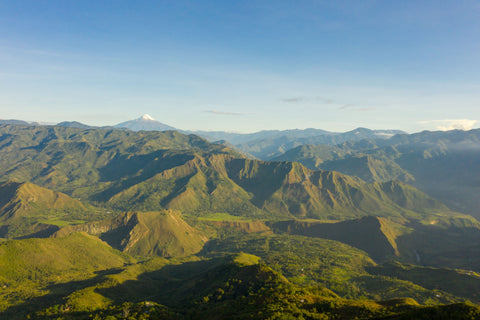 Single Estate: Smallholders of Inzá Cauca, Colombia