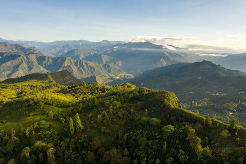 Single Estate: Smallholders of Inzá Cauca, Colombia